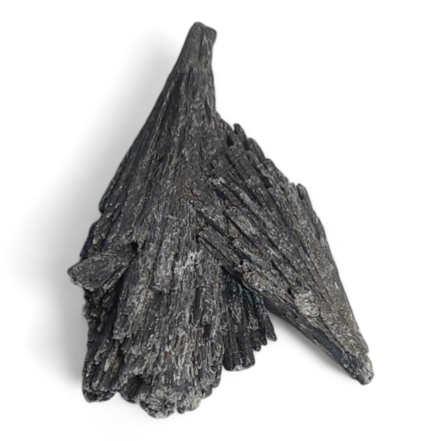 Taramita natural o escoba de bruja con forma de abanico mineral, sobre fondo neutro