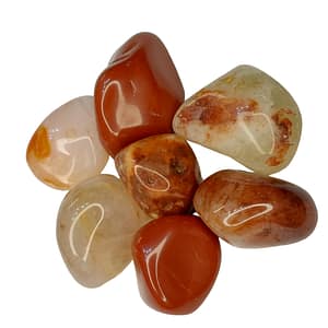 Cornalina pulida de color rojo anaranjado brillante, piedra energética natural sobre fondo neutro