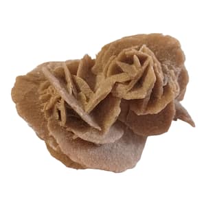 Rosa del desierto roja natural con tonos terrosos intensos, sobre fondo neutro
